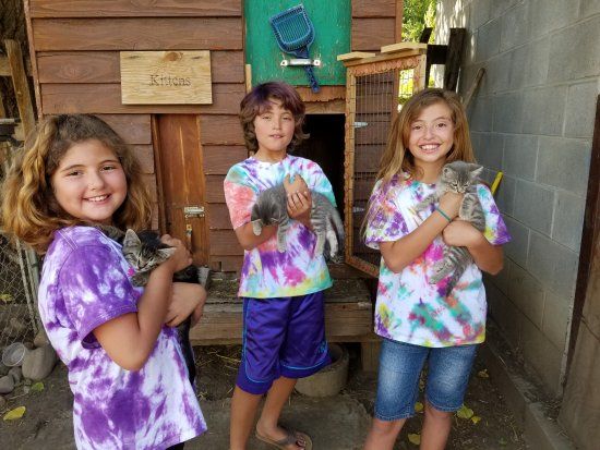 Carver's Cove Petting Farm